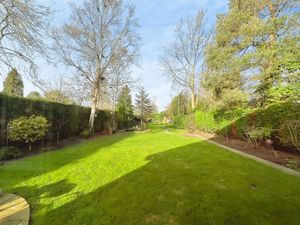 Photo 24- click for photo gallery